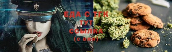гидра Вяземский