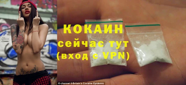 гидра Вяземский