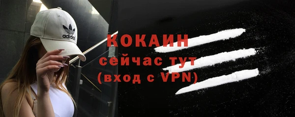 гидра Вяземский