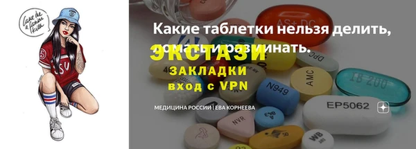 гидра Вяземский