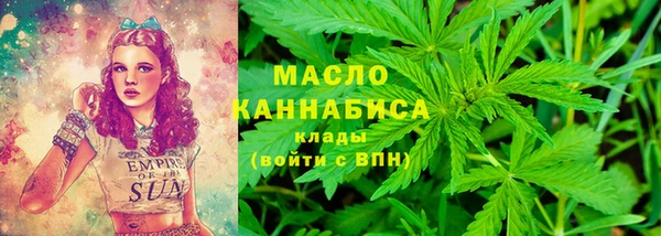 гидра Вяземский