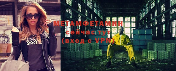 гидра Вяземский