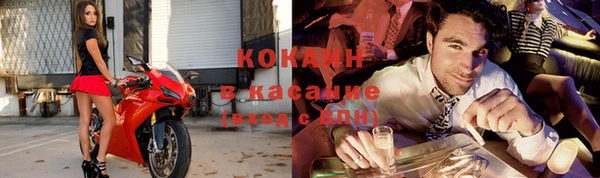 гидра Вяземский