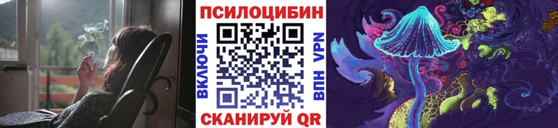 Псилоцибиновые грибы мицелий  цены   Черногорск 